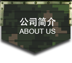 军事模型